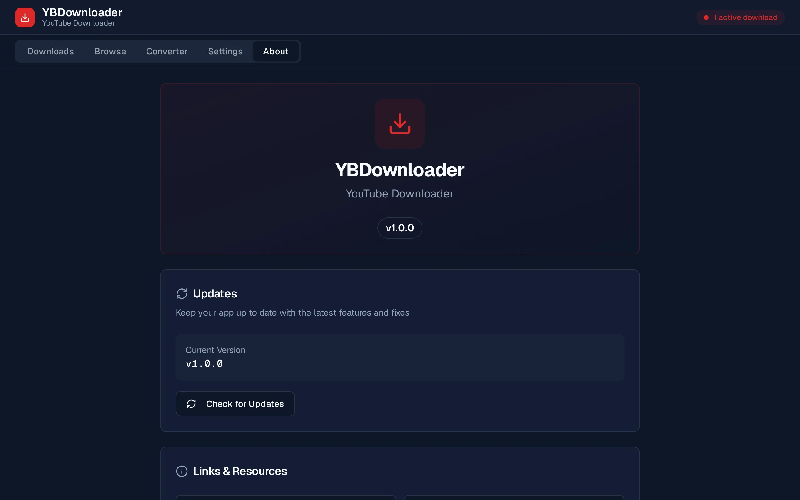 About tab with version and project links
